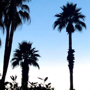 Meet your Posher, Posh